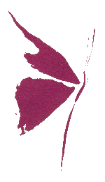 Entrada a la p�gina principal